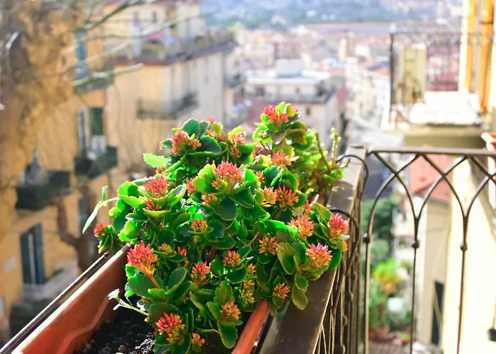 La Maison Au 35 *